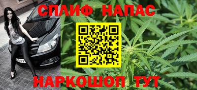 прущие грибы Гатчина