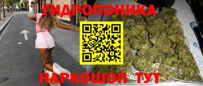прущие грибы Гатчина