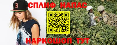 прущие грибы Гатчина