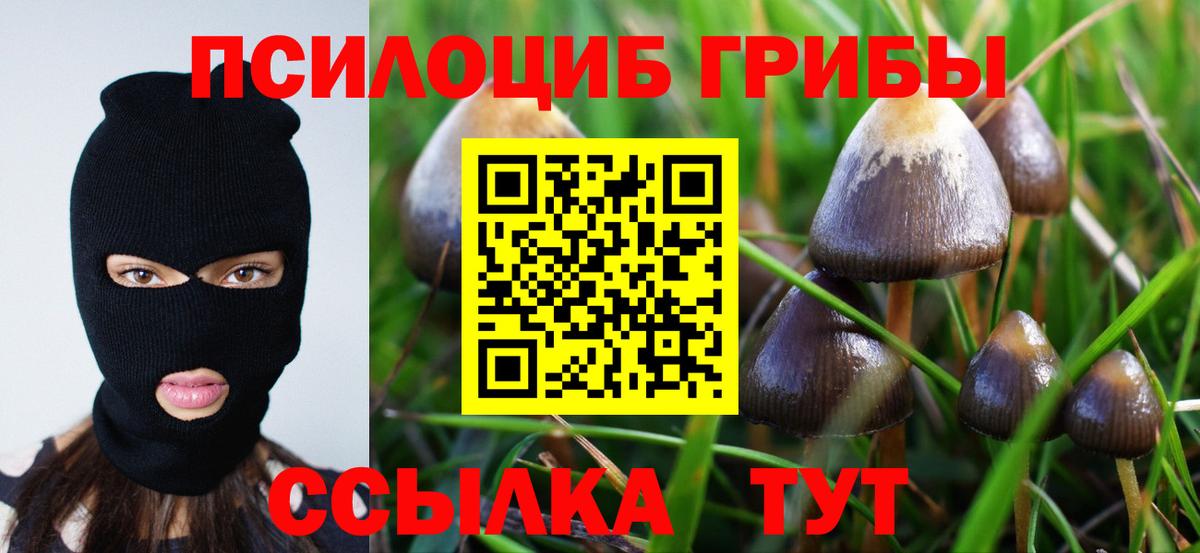 Псилоцибиновые грибы мухоморы Междуреченск